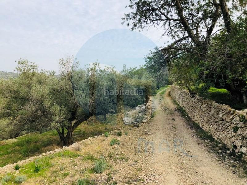 Foto e70a592e-3079-4d62-9e04-cbcfe4bcb61d. House in Urbanitzacions Tortosa