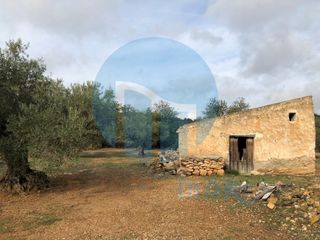 Mas  Partida bassa del migpoligono 136 parcela 10 poligono 136 parcel. Caseta de campo en finca r�stica con vistas al mar.