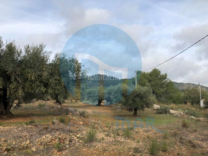 Foto 117cd317-679f-4908-921b-599b46506b89. Casa a Ampolla (L´)