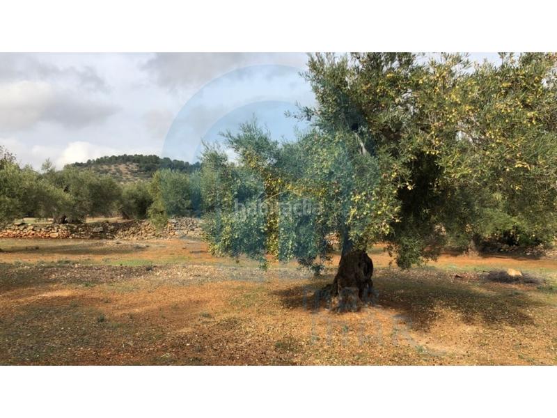 Foto 8fe53837-0d4e-40e9-8c8b-465eda9af195. Casa a Ampolla (L´)