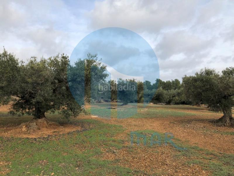 Foto b0abe63d-54dd-424c-908f-115bc2d1fa96. Casa a Ampolla (L´)