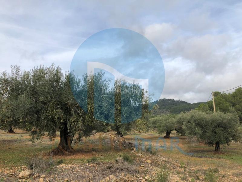 Foto c5431f14-f904-45a2-b968-16bd8eabbde0. Casa a Ampolla (L´)