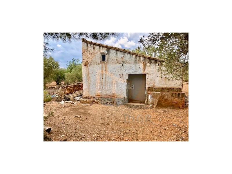 Foto 27dedeb2-2569-41e3-ad14-7caa79f78b3c. Casa finca rústica situada en el pueblo pesquero de lampolla en Ampolla (L´)