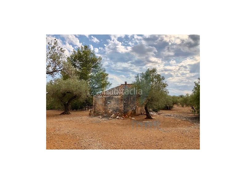 Foto 91ebd671-8631-43c5-924b-f0656f8a9738. Casa finca rústica situada en el pueblo pesquero de lampolla en Ampolla (L´)