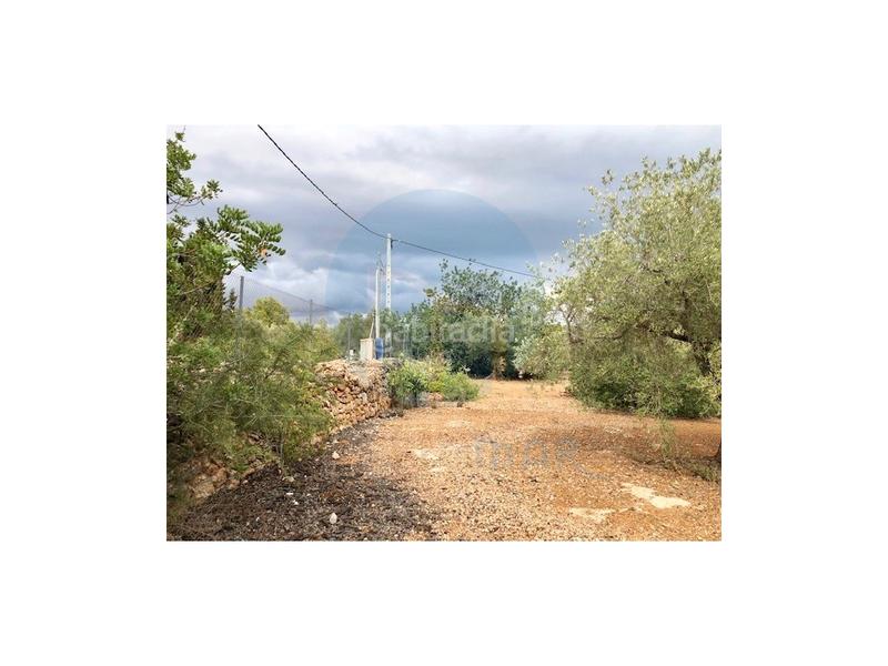 Foto a65ba398-9e6d-42e8-a114-b3169b82b8be. Casa finca rústica situada en el pueblo pesquero de lampolla en Ampolla (L´)