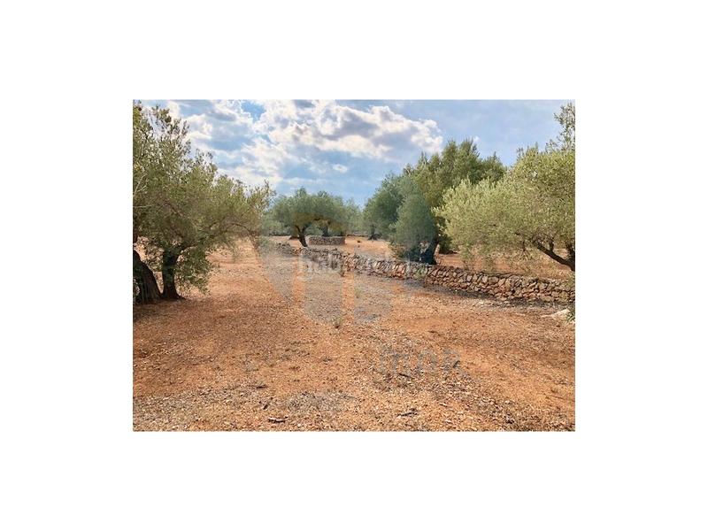 Foto bc6ac320-eb68-4f9f-9c31-08b6829a8ef3. Casa finca rústica situada en el pueblo pesquero de lampolla en Ampolla (L´)