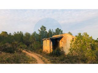 Maison dans Urbanitzacions. Finca r�stica con pinar y dos casas de campo de piedra