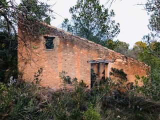 House in Urbanitzacions. Finca r�stica con pinar y dos casas de campo de piedra