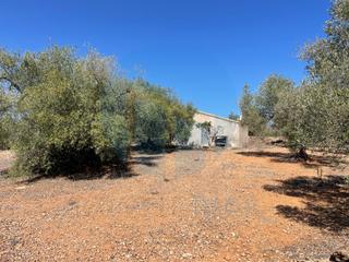 Masía  Avenida meligo. Casa de campo a 2 km de lampolla
