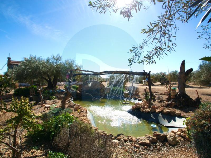 Foto 2cc9b28e-fb85-4caa-adfd-f09622a93b38. Masía espectacular finca rústica con varias casas y piscina. en Camarles