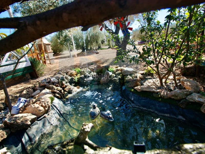 Foto 3ccfd108-50d1-432a-9d62-48effce9a985. Masía espectacular finca rústica con varias casas y piscina. en Camarles