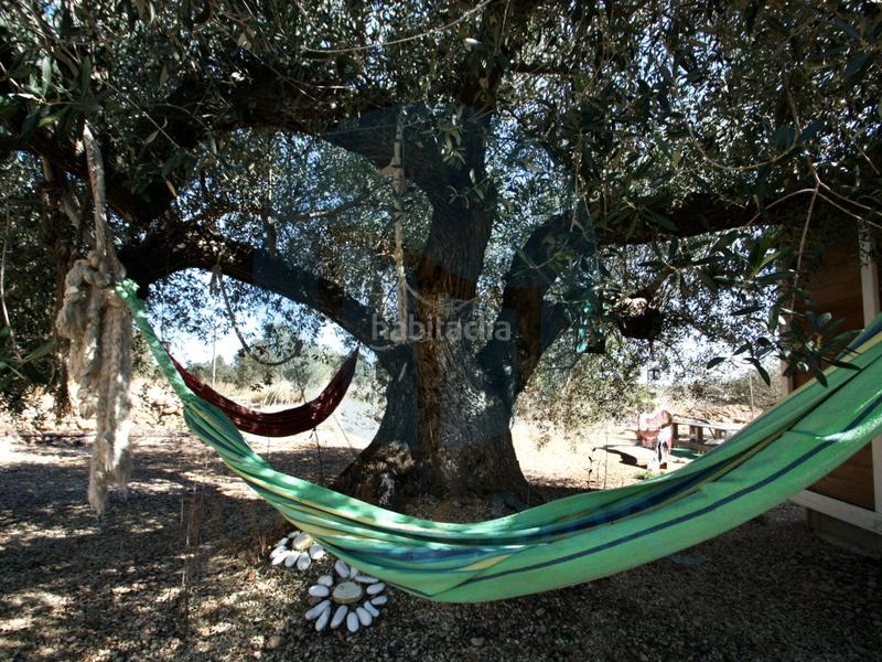 Foto 93039720-2cfe-478e-9f0a-d80ececfd8d1. Masía espectacular finca rústica con varias casas y piscina. en Camarles