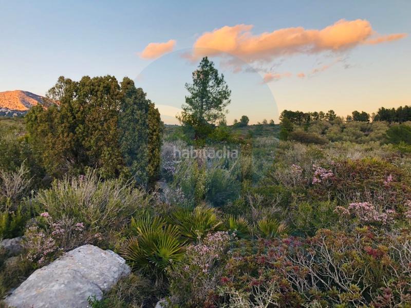 Foto 025ad725-5fd5-4221-8568-648ac1f77850. Casa gran finca con vistas al delta y aislada de ruidos. en Tortosa