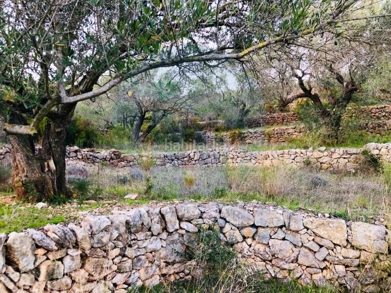 Foto 525b0588-47a1-4db0-906e-3e50c0228f1a. Casa gran finca con vistas al delta y aislada de ruidos. en Tortosa