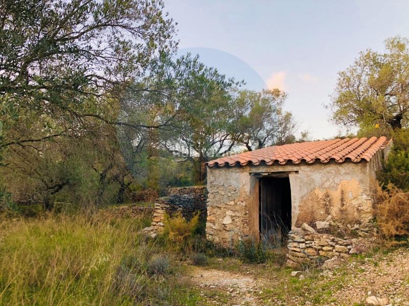 Foto a83397ef-d770-4689-a38c-5eadad49efaa. Casa gran finca con vistas al delta y aislada de ruidos. en Tortosa
