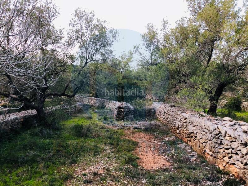 Foto cacd080d-7424-47d8-89b2-06f2088f88fa. Casa gran finca con vistas al delta y aislada de ruidos. en Tortosa