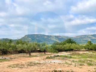 Casa a Camarles. Finca rústica con agua, licencia para construir almacén agrícola