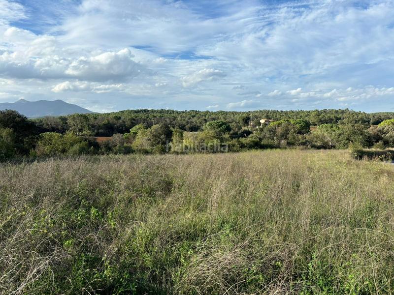 Foto 41f2605d-6d69-4980-a833-4a11d22c6966. Finca rústica a Crespià