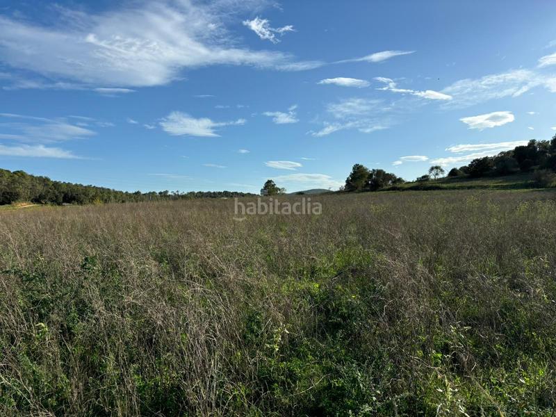 Foto e83fe5c0-cef8-423b-b0c1-df5e33a71fb8. Finca rústica a Crespià