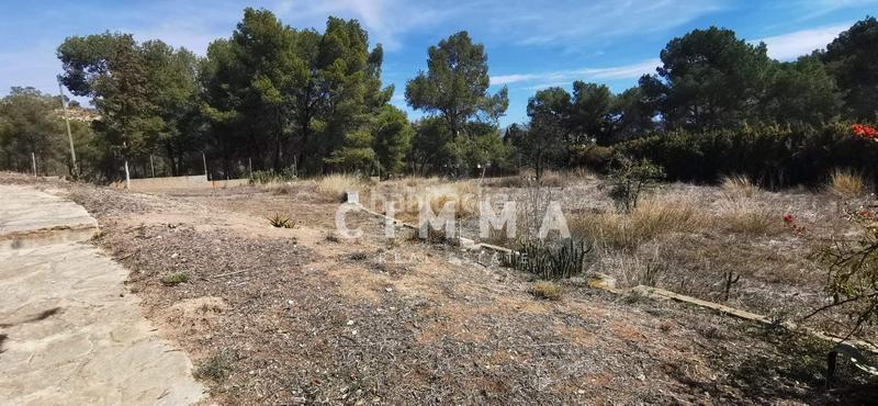 Foto 5f7bbf9b-6fbd-49f8-839f-73d1fb2d5cfe. Chalet with heating parking pool in Coloma Nucia (la)