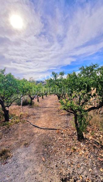 Foto 6002b524-7115-4b23-9abd-1a6664ef28b9. Country house in El Tossal-Bello Horizonte Nucia (la)