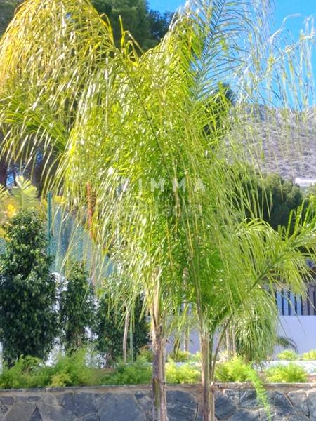 Foto 24e1cdd8-858c-4acf-b548-c58b01d27303. Chalet casa independiente la vella en Altea la vella Altea