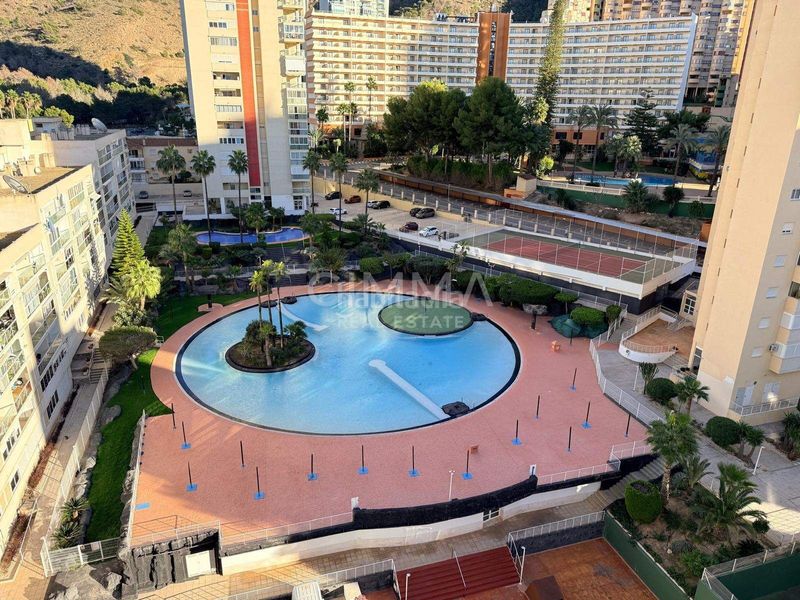 Foto 5dc8054e-95f6-4ea0-85f4-4b1fff4fd276. Apartament amb aparcament piscina a Juzgados - Plaza de Toros Benidorm