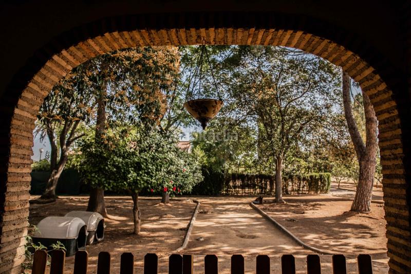 Foto 0c0b7fb9-dbec-4b80-9884-ea664a59e4af. Xalet amb xemeneia piscina a Loreto Espartinas