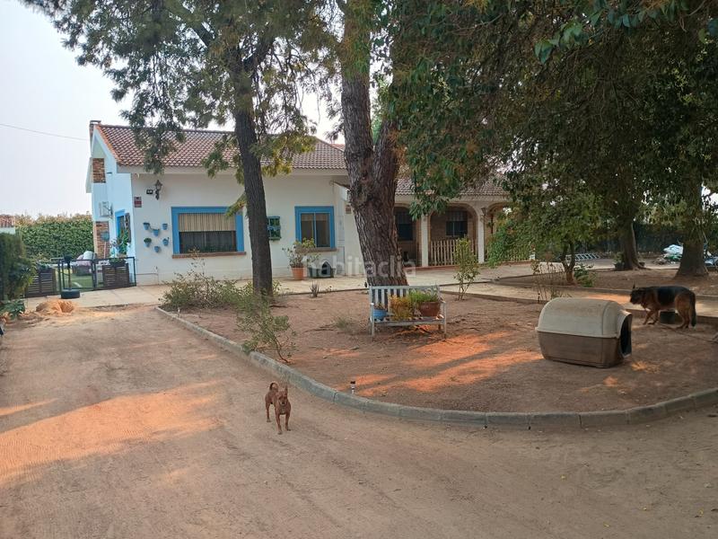 Foto 8eba6755-308e-47a0-974c-c10c43ad6a0d. Xalet amb xemeneia piscina a Loreto Espartinas