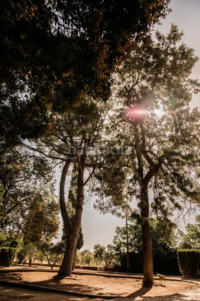 Foto dad58d77-4626-468c-8504-71cfcd9f074e. Xalet amb xemeneia piscina a Loreto Espartinas