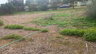 Wohngrundst�ck  Santiago apostol. Parcela urbana
