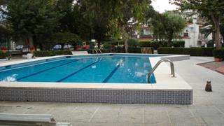 Rent Apartment in Montmar. Bonita planta baja esquinera /3 dormitorios y piscina