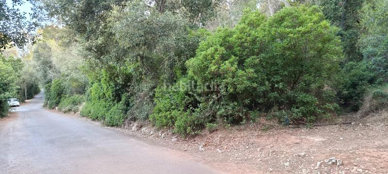 Foto 4f6f7d04-9125-487b-ad71-93af0c7b4994. Rural plot in Es Garrovers Marratxí