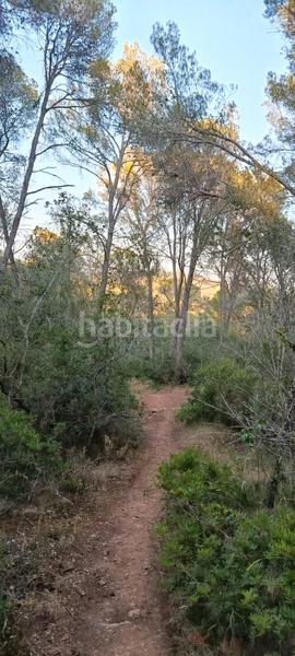 Foto 659ea483-02ea-4440-b369-72e6b98a669f. Rural plot in Es Garrovers Marratxí