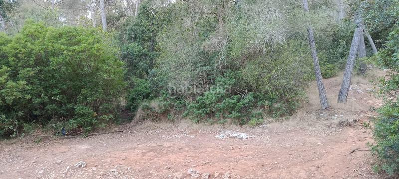 Foto 7fe2b01b-8948-4ef4-965f-74d8d88143ff. Rural plot in Es Garrovers Marratxí