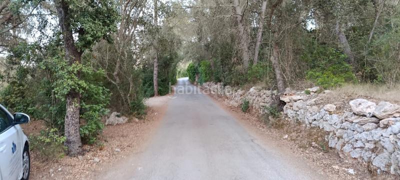 Foto e4159fbc-503b-4b31-9d98-41742733b496. Rural plot in Es Garrovers Marratxí