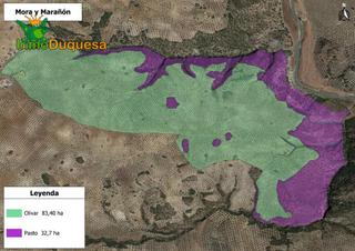 Fondo rustico in Camino polígono 3 parcela 51 mora. loja (granada) 3. Haznos tu oferta de precio!!! finca rustica de 116,40 hectareas