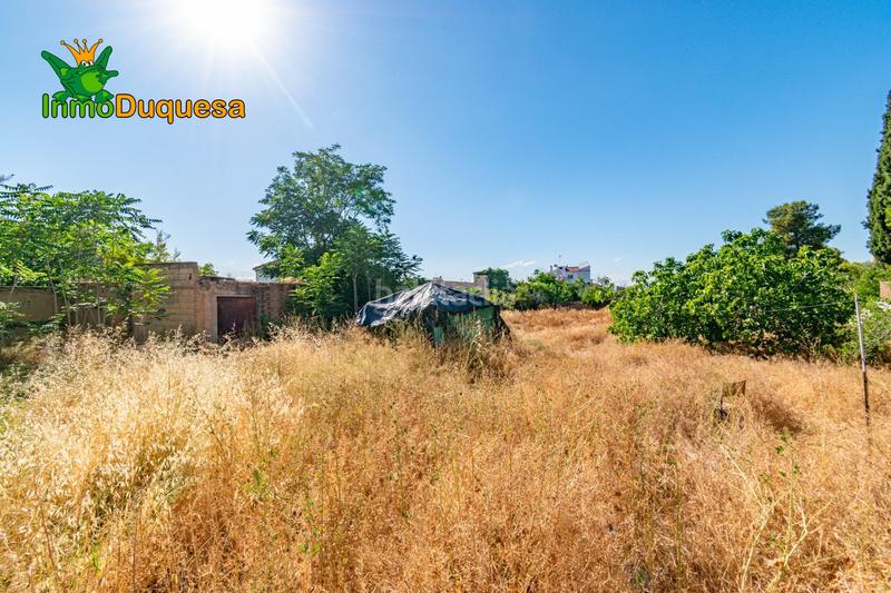 Foto dd882e9a-0636-4beb-b256-9e4020362f83. Terreno residencial en calle calle del presbítero pedro ruiz de valdivia 8 solar urbano para edificio de pisos y aticos. en Zubia (La)