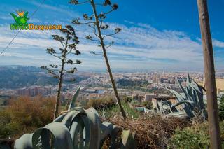 Residential Plot in Calle camino nuevo del cementerio. Solar con vistas a toda granada capital