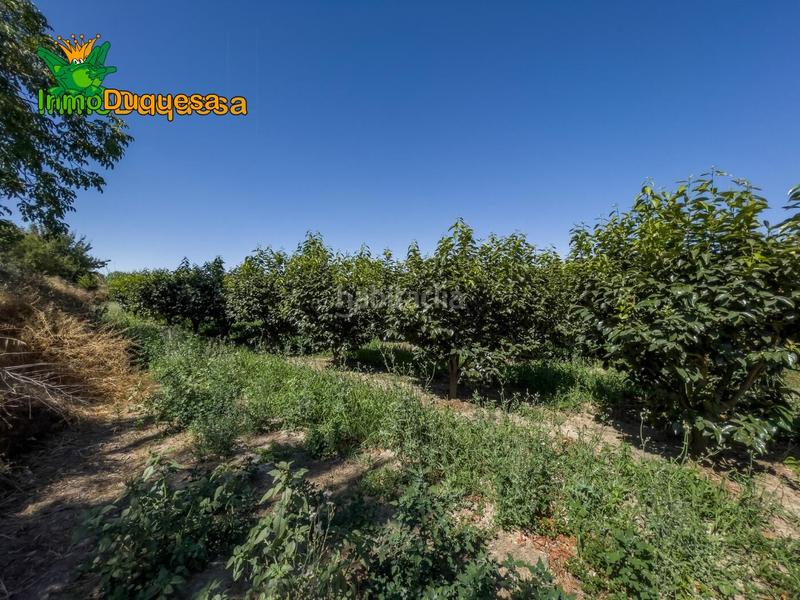Foto a73d2a4c-875a-4967-b9f4-5955ba85f8a1. Fondo rustico in camino pre ramal del molino pol.3 par in Zubia (La)