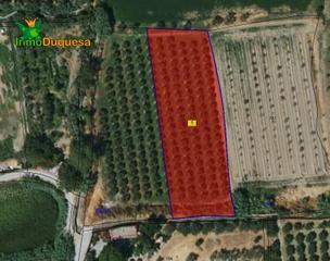 Finca rústica a Camino pre ramal del molino pol.3 par. Haznos tu oferta de precio!! terreno en venta en la zubia