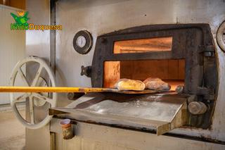 Bâtiment à usage industriel à Alfacar. Nave industrial con mas de 2.400 m obrador de pan en alfacar. in