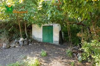 Finca rústica a Calle rio bermejo. Terreno rústico con olivos y caseta.
