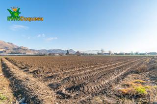 Propriété à Polígono 6 parcela 115 f salina. 18340 fuente vaq 6. Venta de parcela de regadío en fuente vaquero