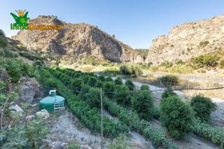 Finca rústica  Calle polígono 7 parcela 140 zorreras. velez de benauda. Finca rústica en  término de velez de benaudalla.