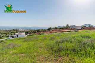 Terreny residencial a Albolote. Quieres construir la casa de tus sueños en un lugar privilegiado