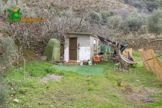Finca rústica a Extrarradio 252. Terreno rústico en pueblo de monachil