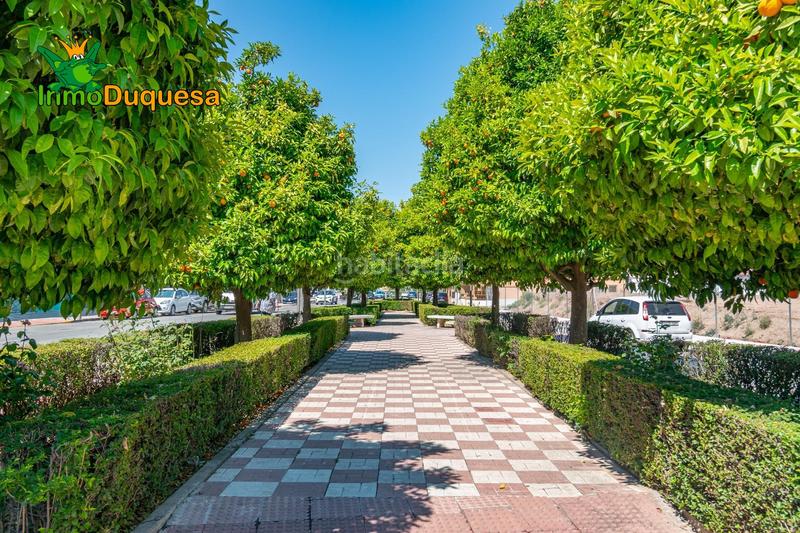 Foto f37d623c-914a-488d-b3a8-060bc29ddd5c. Ático en calle tinar 19 aticoduplex con vistas a sierra nevada. en Albolote