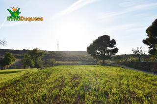 Finca rústica a Padul. Magnífico terreno rústico en el arroyo de padul