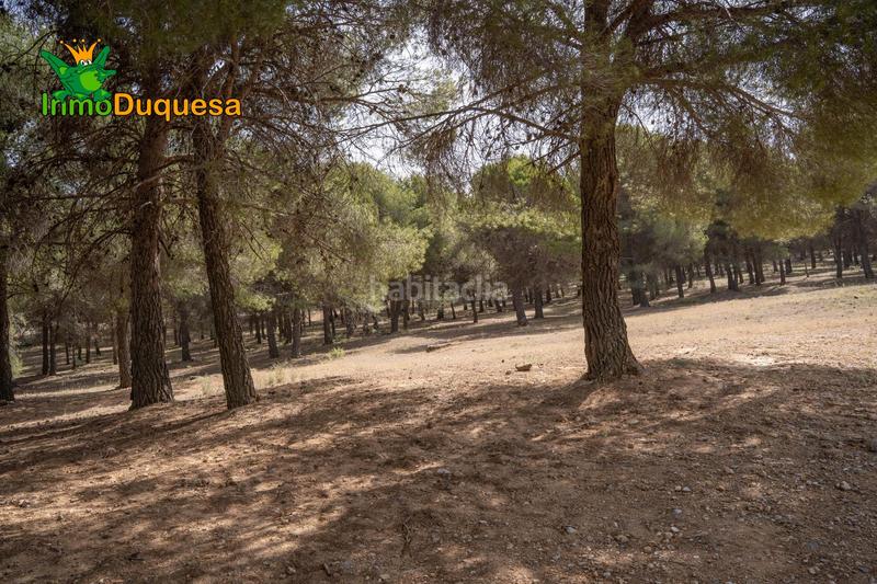 Foto e14b00ea-9c65-4a0d-9553-ccae6ab975bc. Xalet amb calefacció aparcament piscina a Cumbres Verdes Zubia (La)